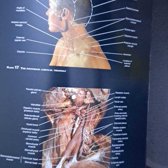 Martini's Atlas of the Human Anatomy Book for Medical Nursing Student 153 pages - Picture 2 of 8